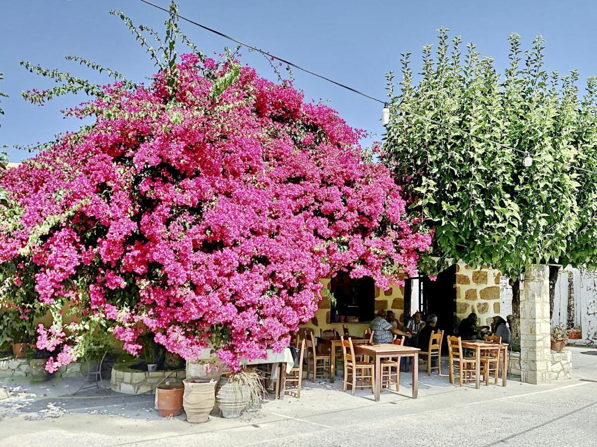 Villa Artemis Vryses Crete Alikampos Zewnętrze zdjęcie